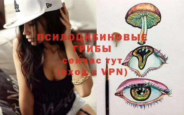 PSILOCYBIN Беломорск